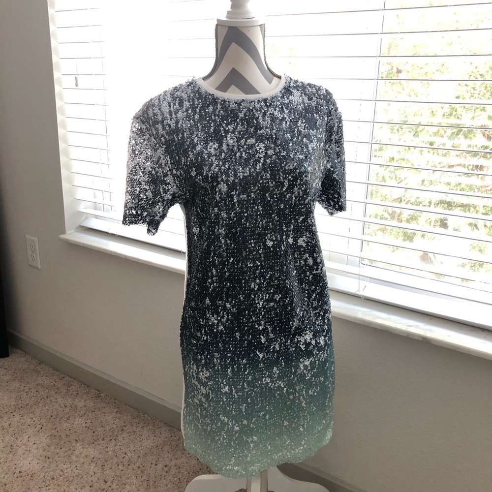 • Zara Sequin T-Shirt Dress •